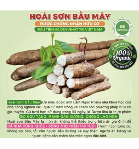 CỦ HOÀI SƠN TƯƠI HỮU CƠ 1KG