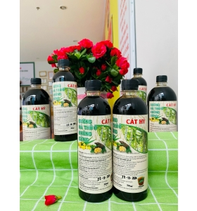 ĐƯỜNG HÀ THỦ Ô KHÔNG GỪNG 1L