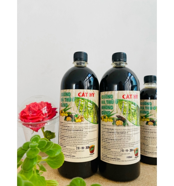 ĐƯỜNG HÀ THỦ Ô KHÔNG GỪNG 1L
